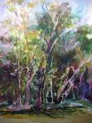 Marceli Derengowski 05