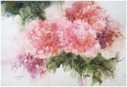 Hortense rozowe