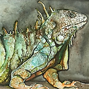 Zdjęcie 13.05.2020, 11 47 43