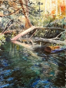 starorzecze Warty 40x30 karolina Majer