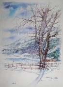 aleksander_ostrowski 03