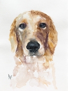 Portret psa 30 x 40 cm