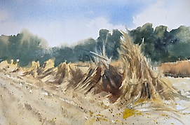 Pozegnanie lata 40x50 cm